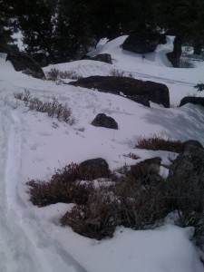 Skinning through the boulders on Mores west face.