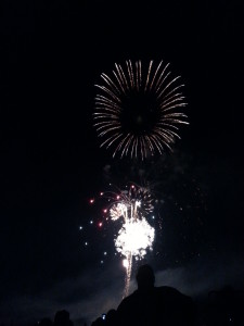 4th of July Fireworks in Boise's Ann Morrison Park